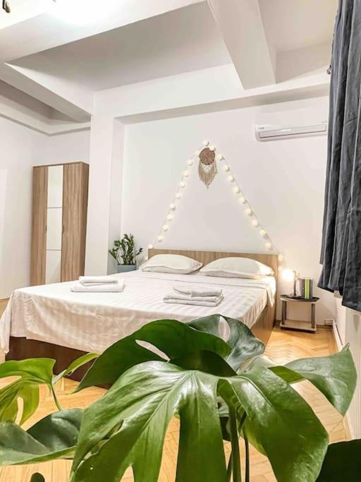 Cozy Flat Right Next To Bucharest's Park Apartament Bucureşti