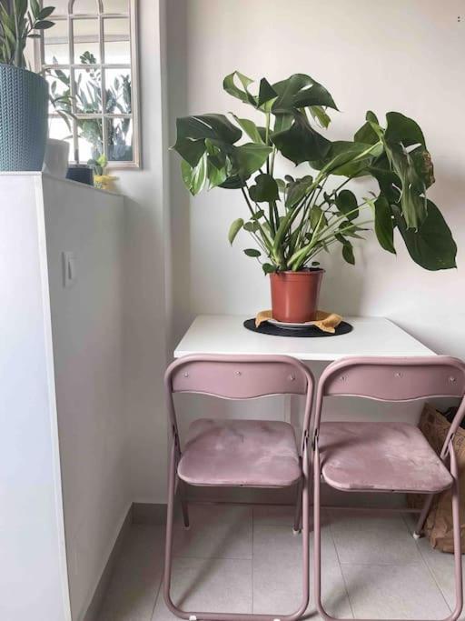 Cozy Flat Right Next To Bucharest's Park Apartament Bucureşti