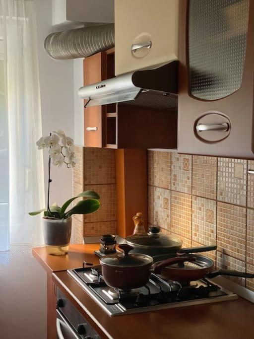 Lovely & Quiet 1-bedroom With Free Parking * Bucureşti
