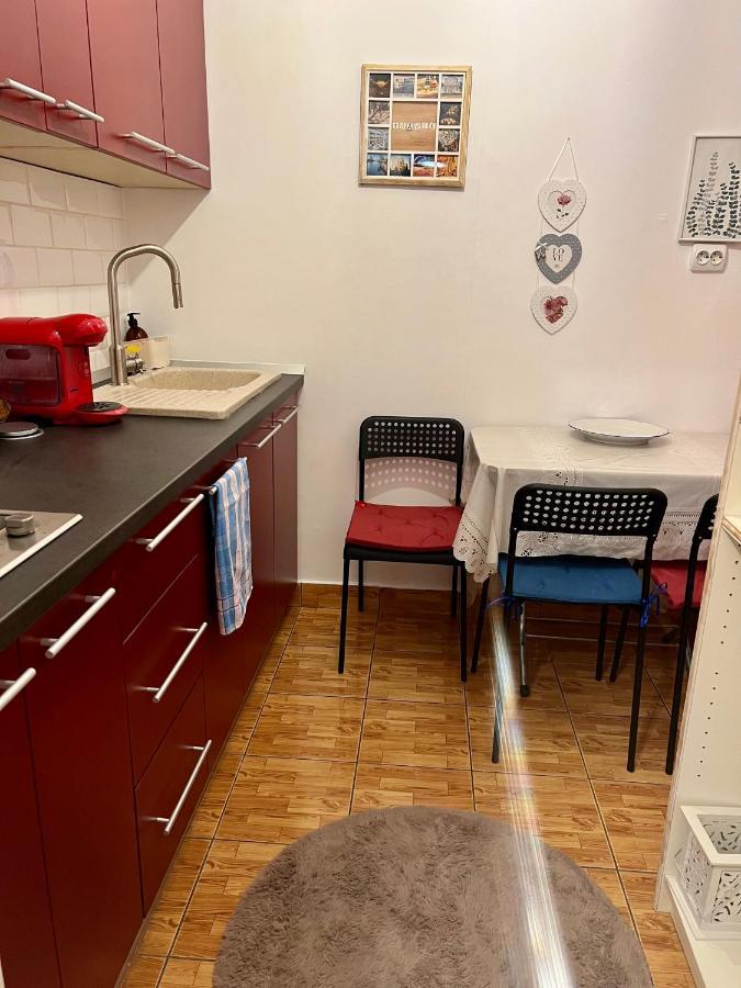Apartment Studio Mosilor *