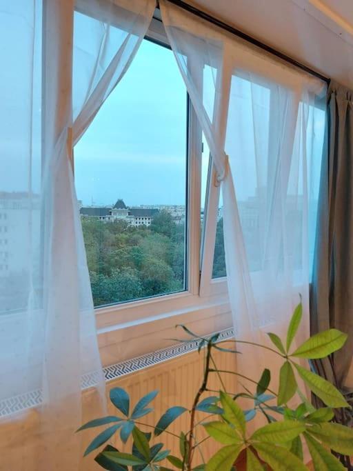 Apartament Sweet Dreams Cismigiu Bucureşti