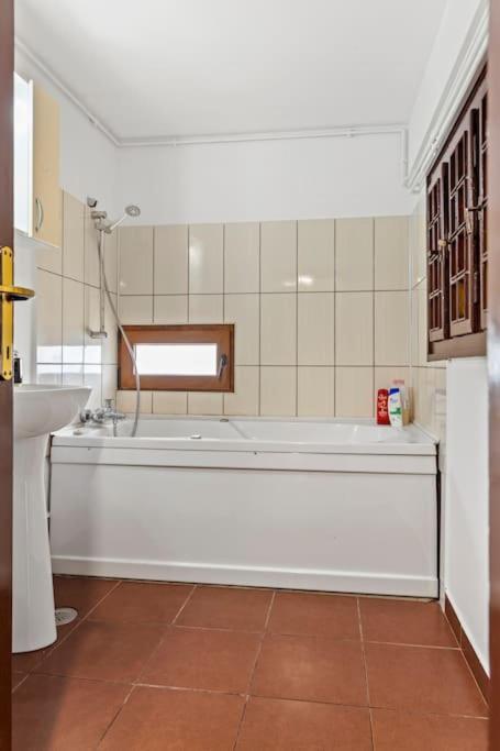 Central Penthouse Studio With Bbq & Jacuzzi * Bucureşti