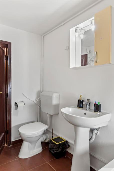 Central Penthouse Studio With Bbq & Jacuzzi Apartament *