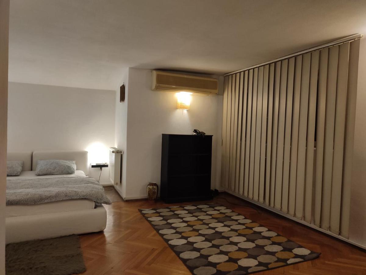 Dorobanti Loft Apartment *