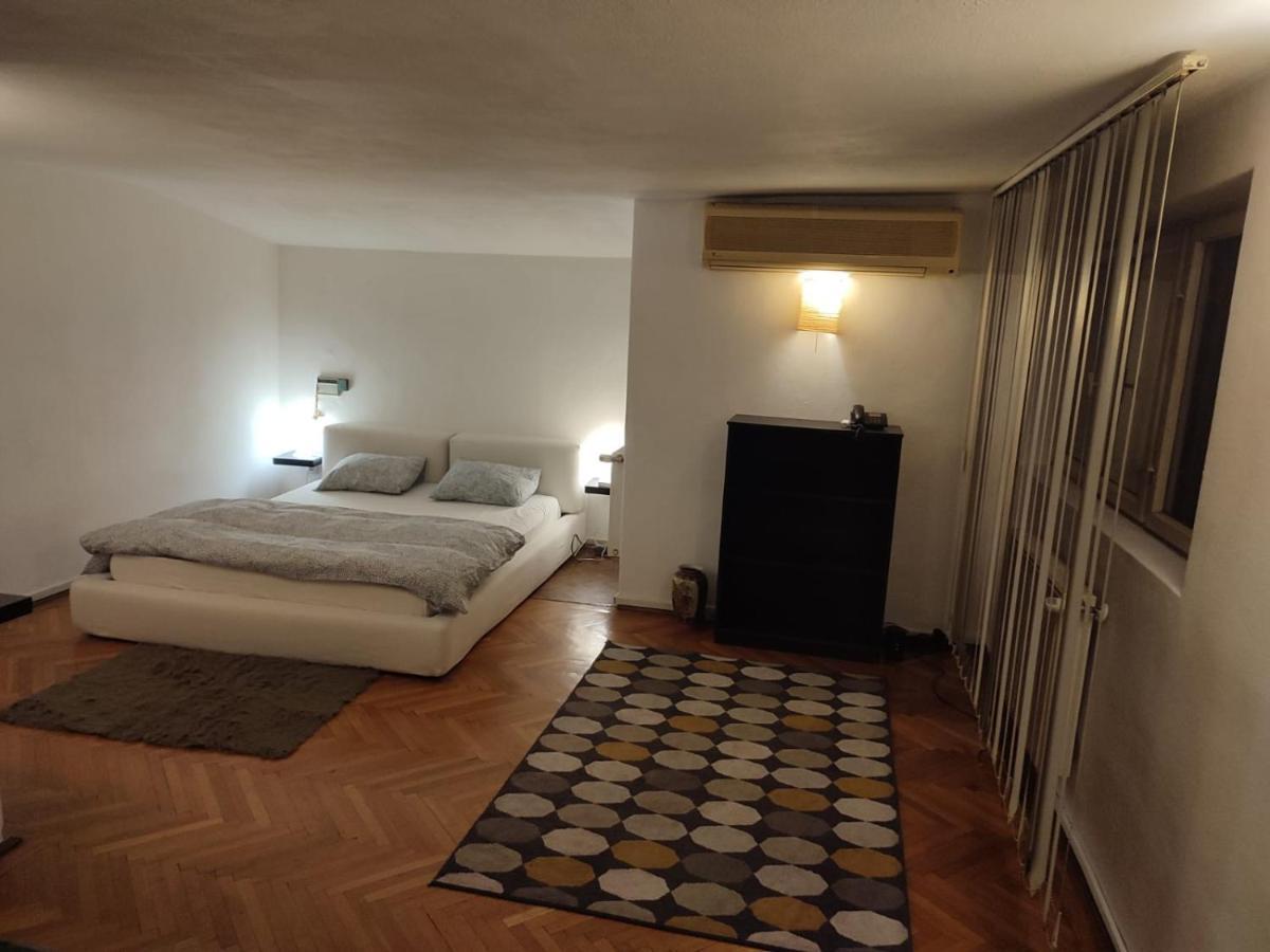 Apartment Dorobanti Loft Bucharest