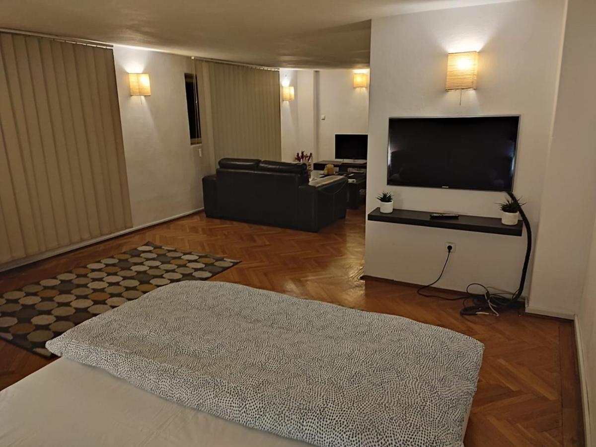 Dorobanti Loft Apartment Bucharest