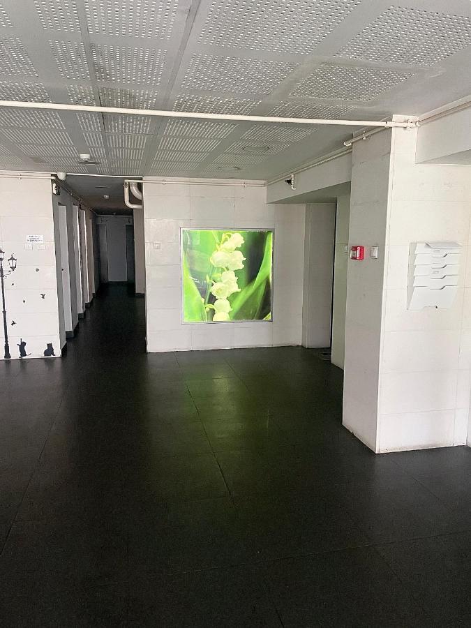 Wood Story - Modern 1br Near Center With Parking