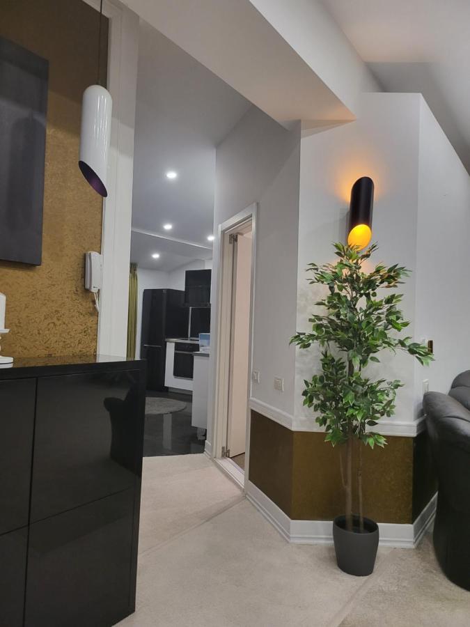 Apartment Large Luxury - Penthouse - Terrace Bucharest