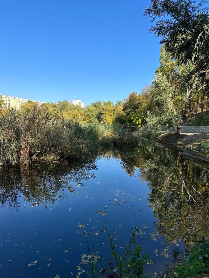 Tam - Nature Heaven - Private Parking Bucharest
