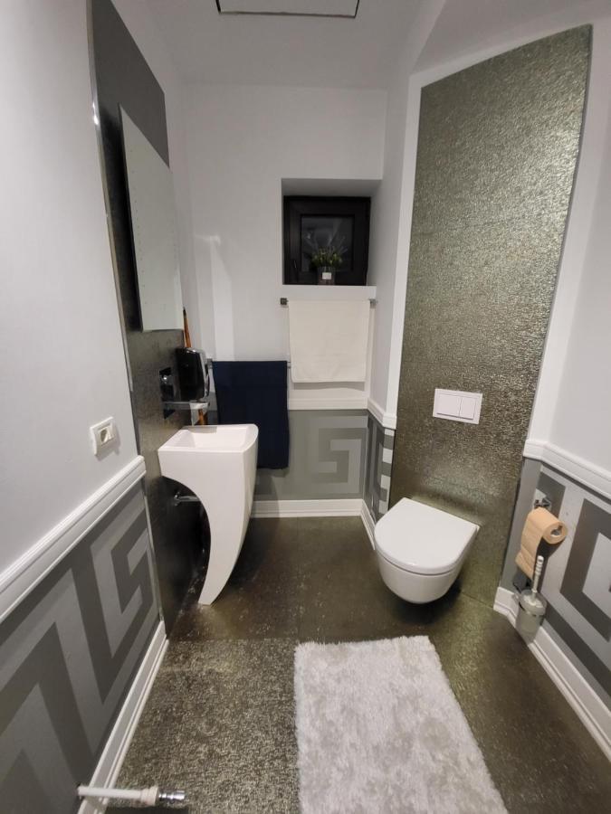 Large Luxury - Penthouse - Terrace Apartment Bucharest