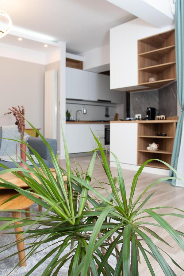 Anise Apartment