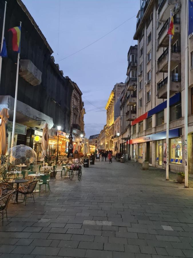 Apartment Color Ap Calea Victoriei 12c Bucharest
