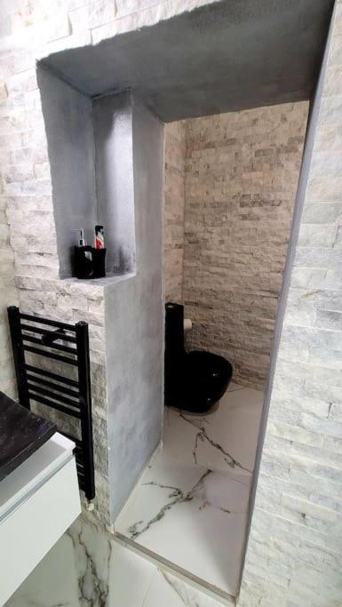 Apartment Modern At Unirii *