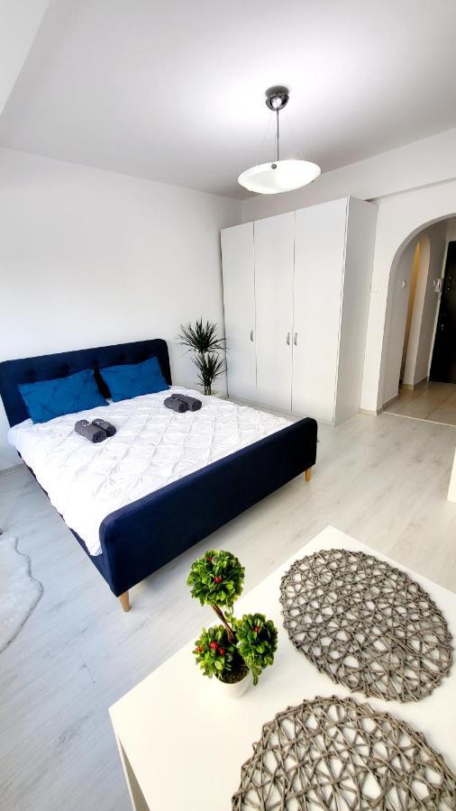 Apartament Victoriei Central Studio Bucureşti