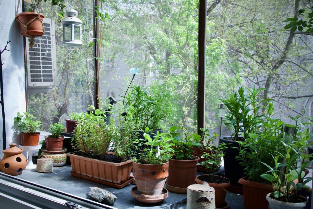 Apartment Mayahouse