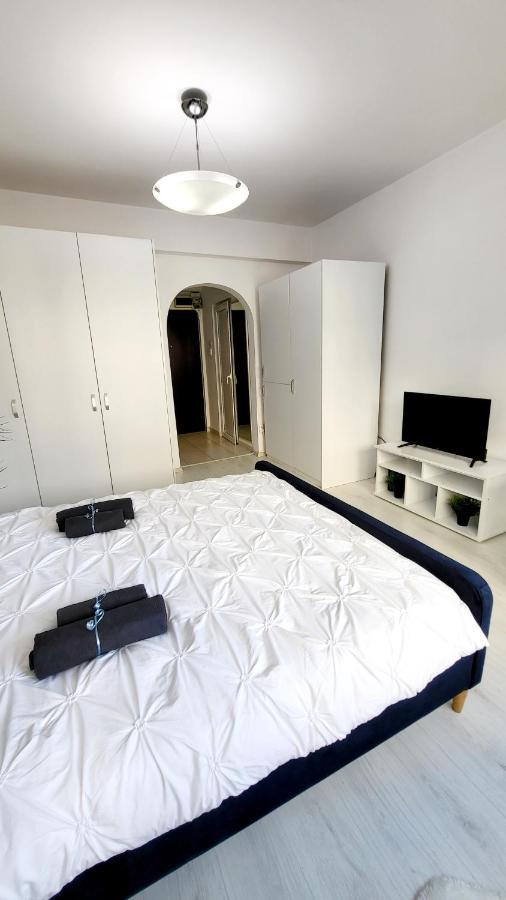 Apartament Victoriei Central Studio