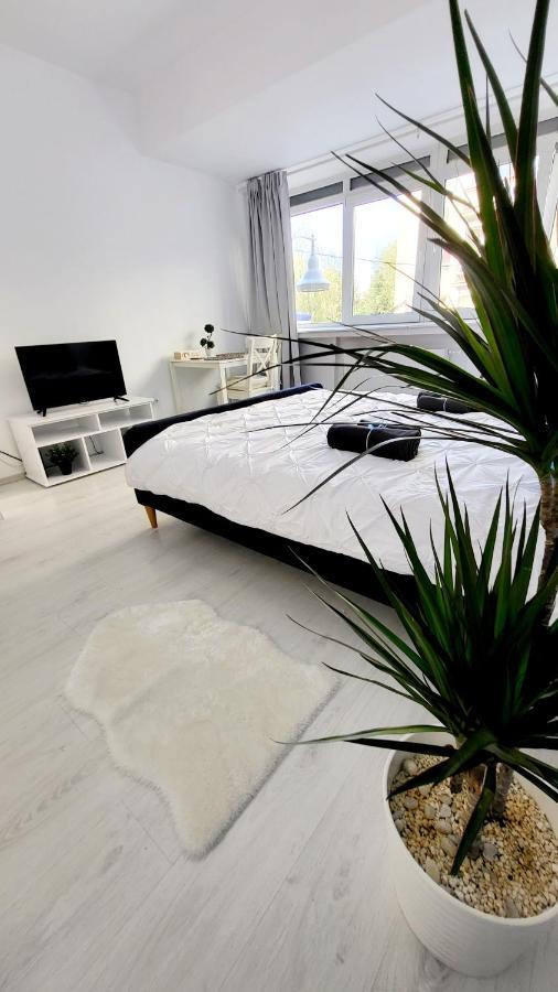 Victoriei Central Studio Apartament
