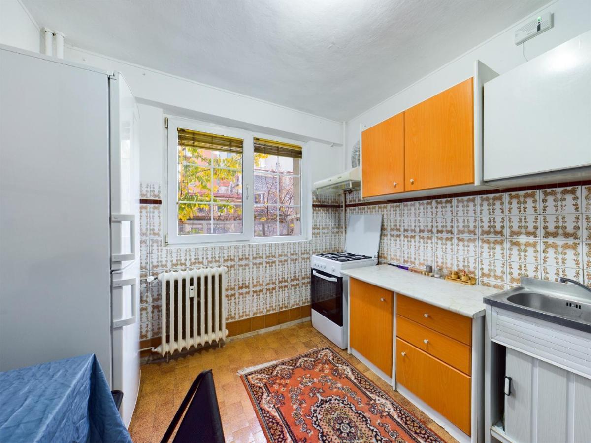 Apartment Dorobanti *