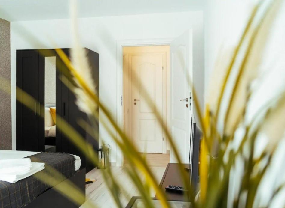 Central Lime Apartament