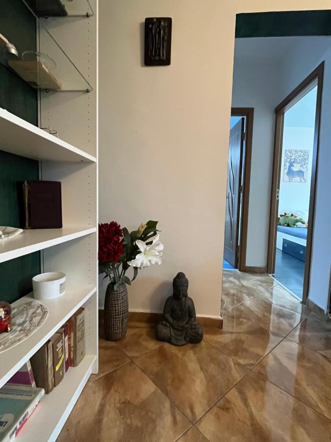 Casa Cartilor - House Of Book's