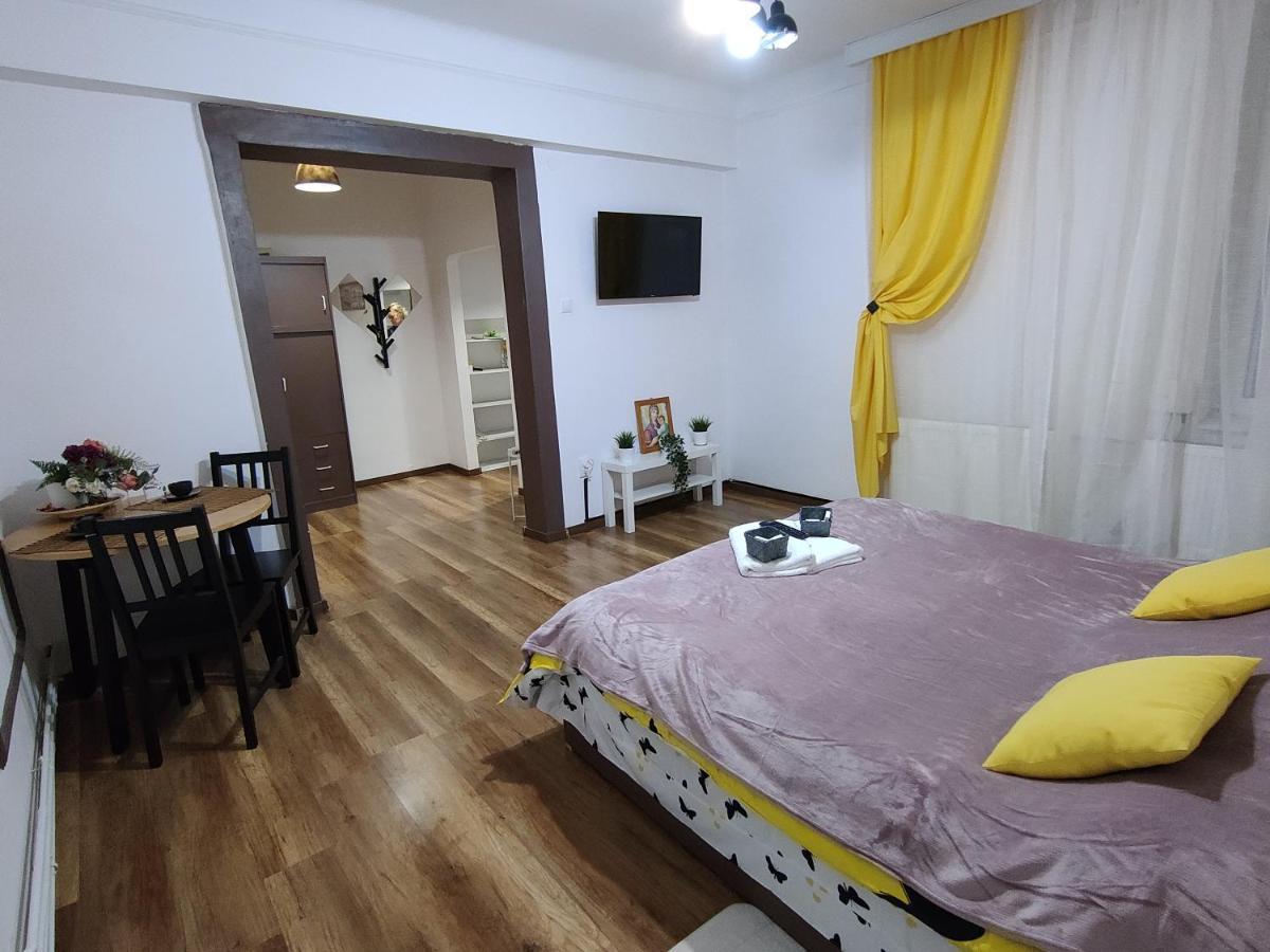 Apartment Vlad's Unirii *