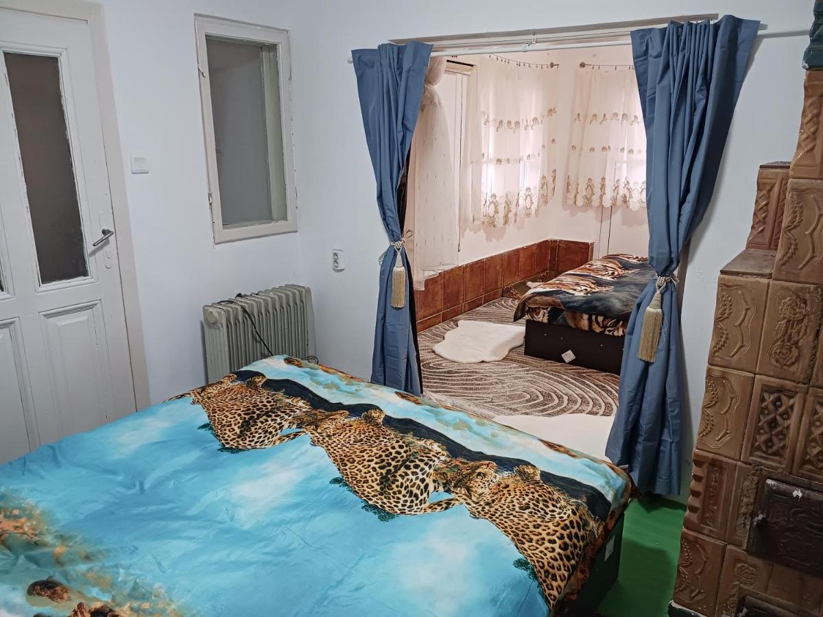 Otto Nu Primesc Santieristi Si Petrecareti Anuntati Ma Cu Doua Inainte Sa Fac Focul