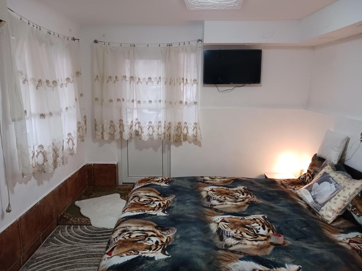 Otto Nu Primesc Santieristi Si Petrecareti Anuntati Ma Cu Doua Inainte Sa Fac Focul Bucureşti