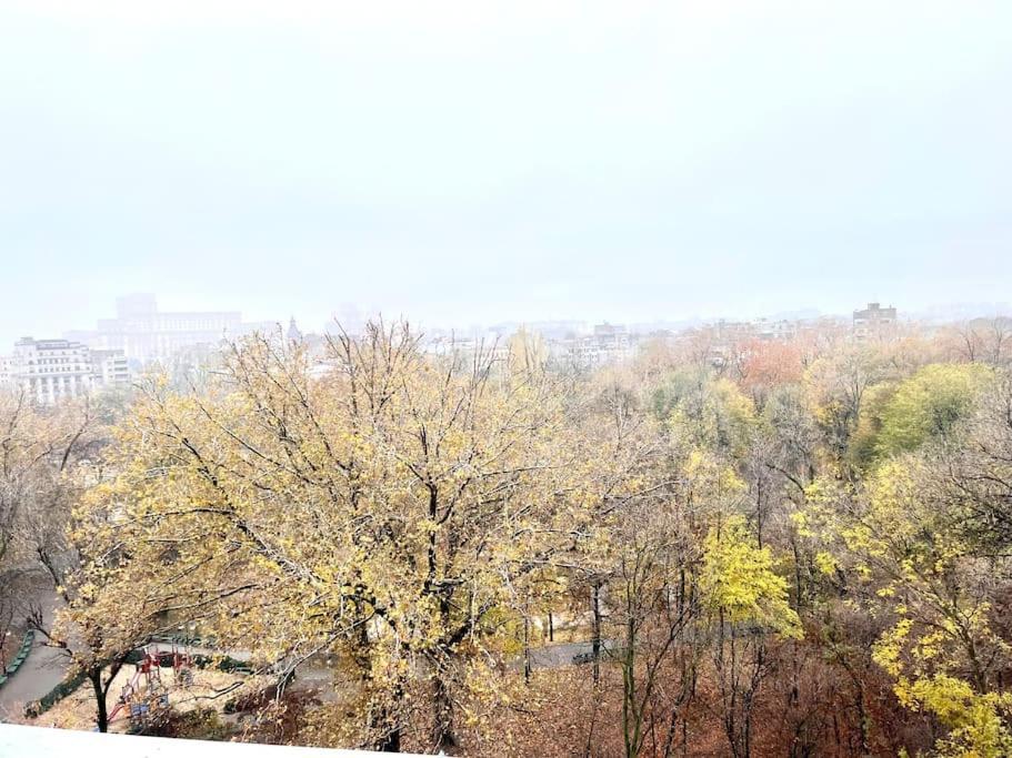 Apartment Panoramic Lil' Paris