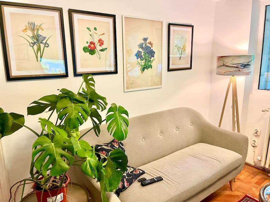 Carpe Diem, Cismigiu Gardens Apartamento