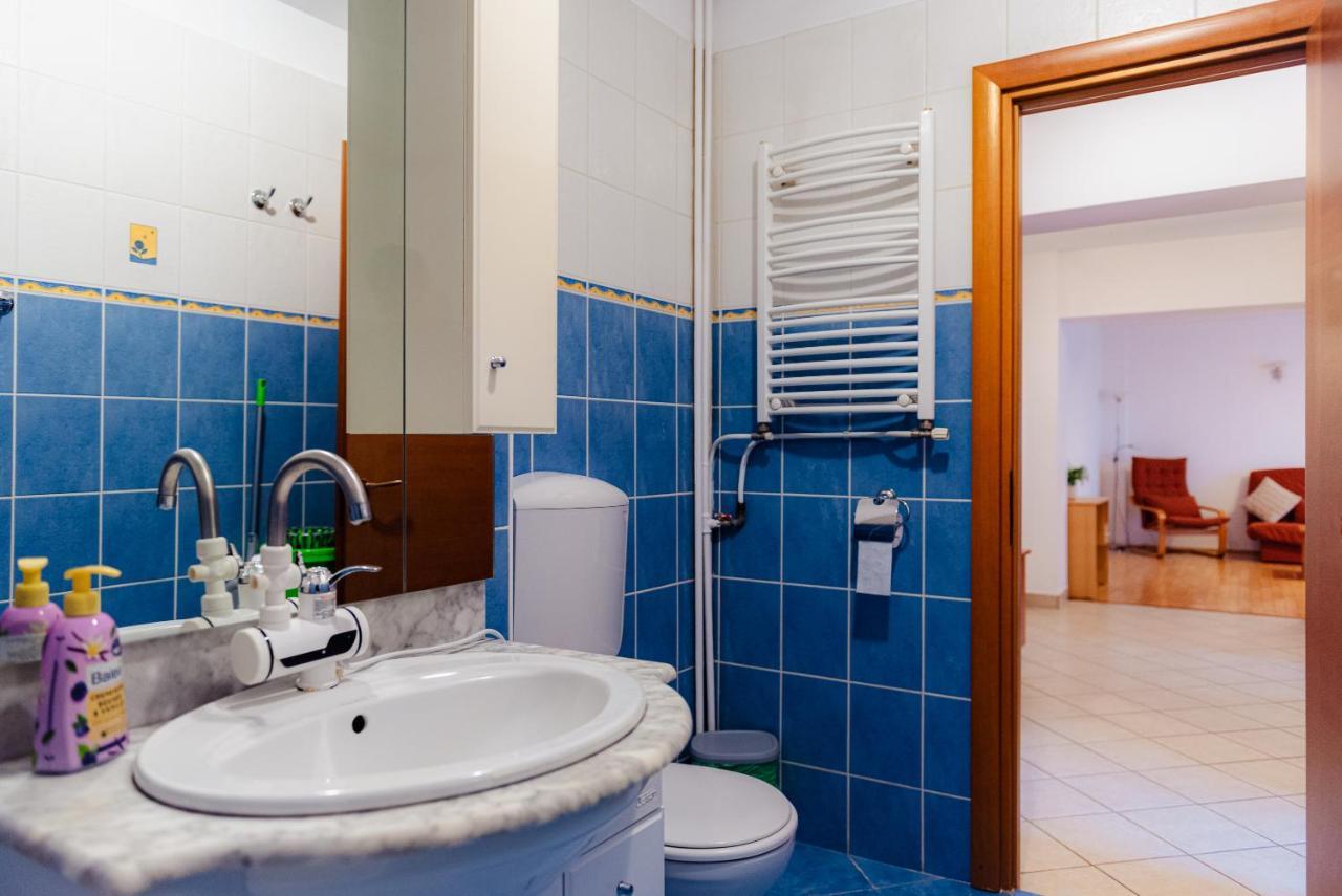 Piata Victoriei Apartment Bucharest