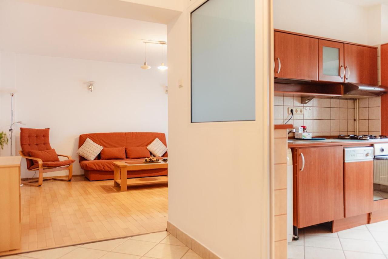 Piata Victoriei Apartment