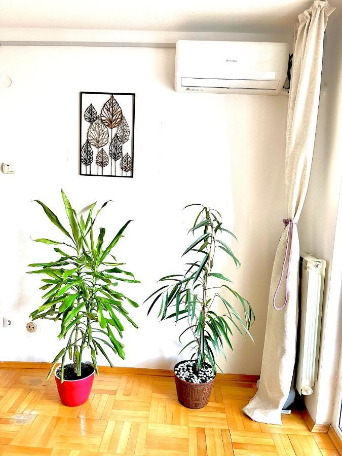 Apartamento Vintage Bucareste