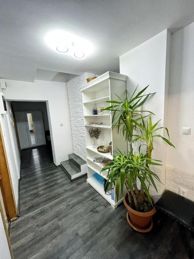 3 Cinema Garden Parking House Bucharest