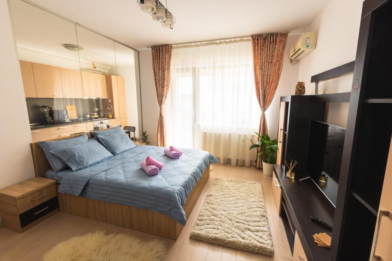 Charming And Spacious Near Downtown Apartment Bucharest