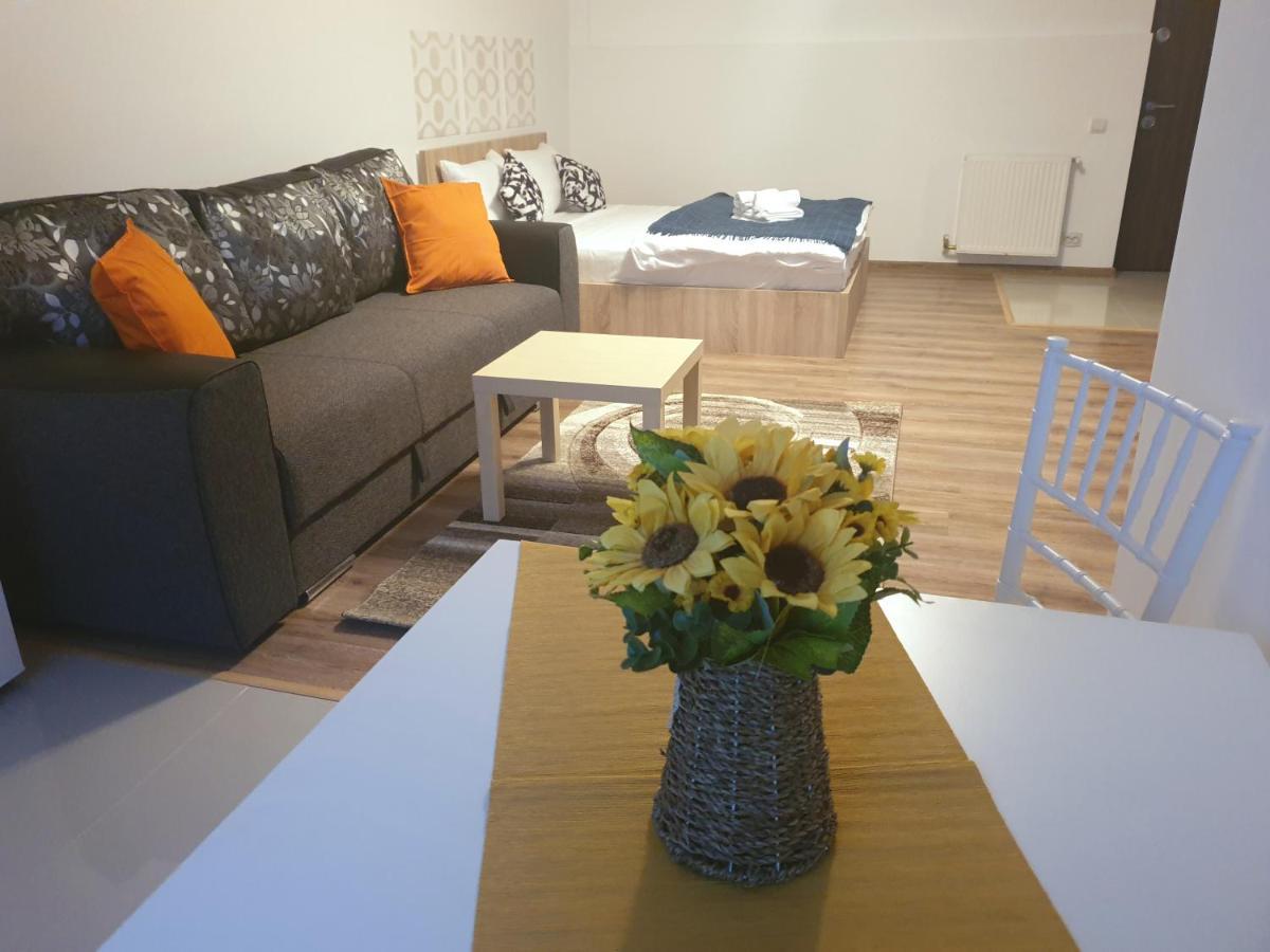 Apartament Apartment Villa *