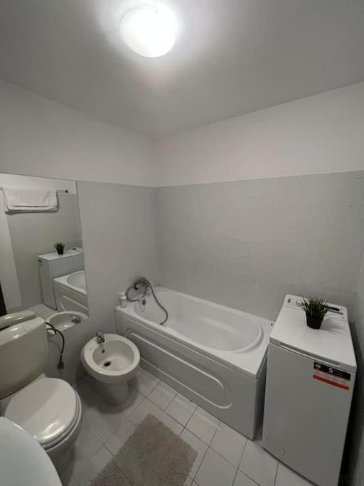 Lovely In In Apartament *