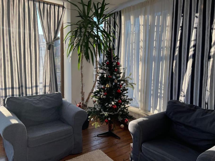 Lovely In In Apartament *