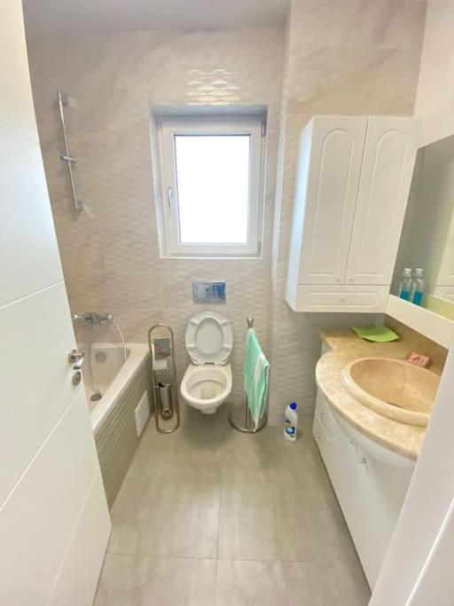 Floreasca Parc View Gem Apartment *
