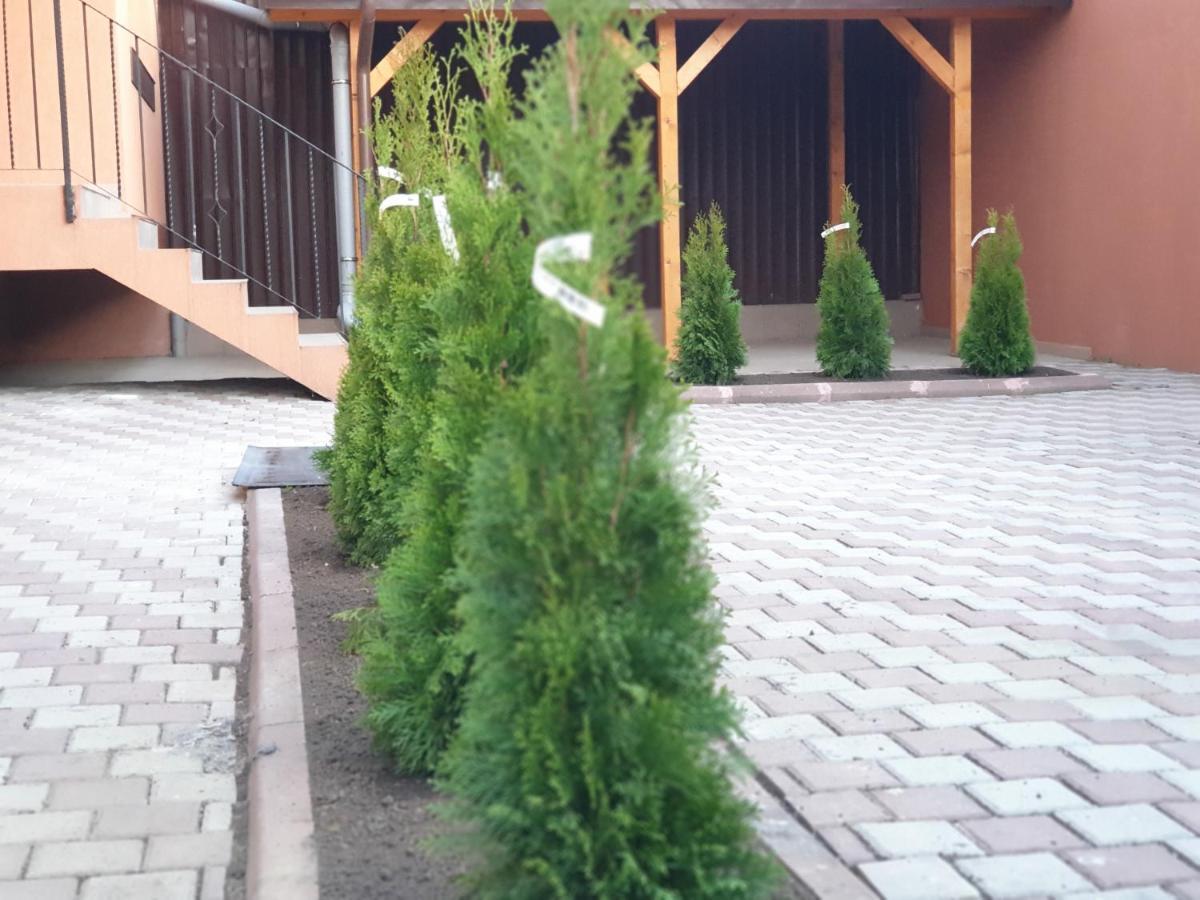 Apartament Villa Accommodation *