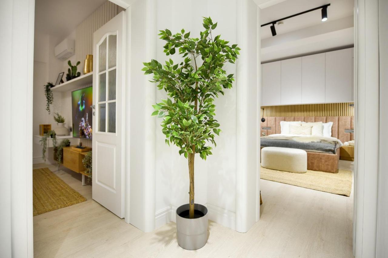 Apartment Modern Symphony - Stunning