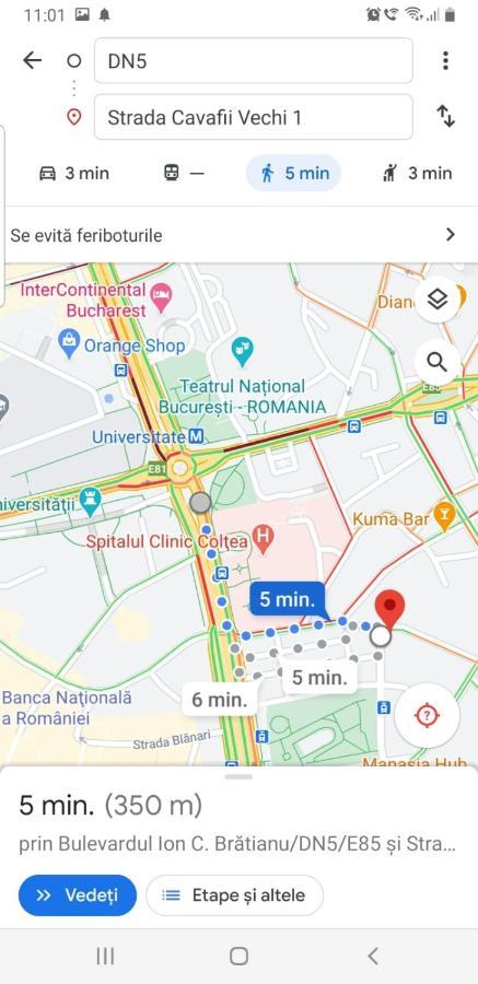 Central Old City Center Studio Universitate Coltea - Cav9 Apartament