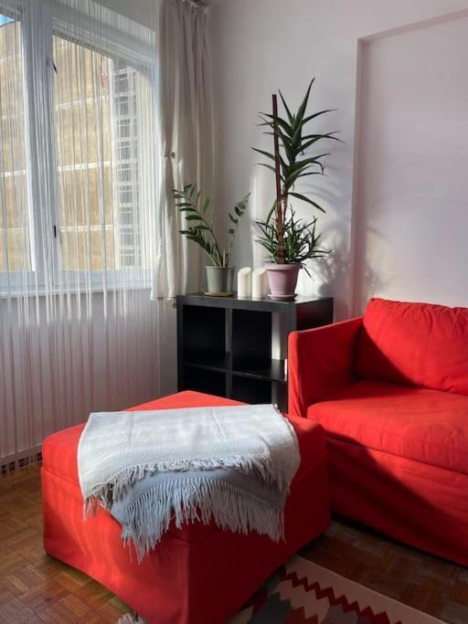 Apartment Musika
