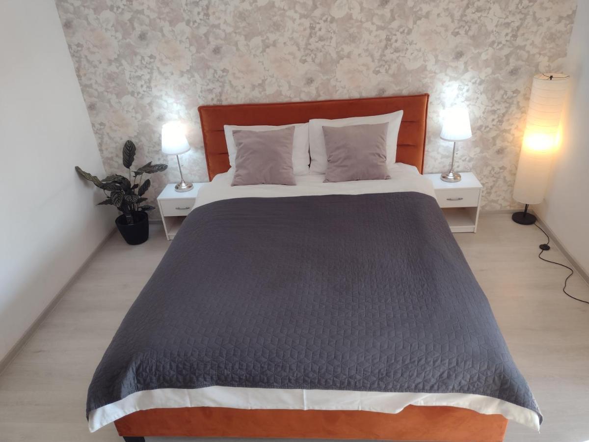 Delightful Brancusi Apartamento