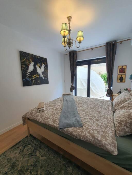 Apartament Sector 1 Garden Boutique Bucureşti