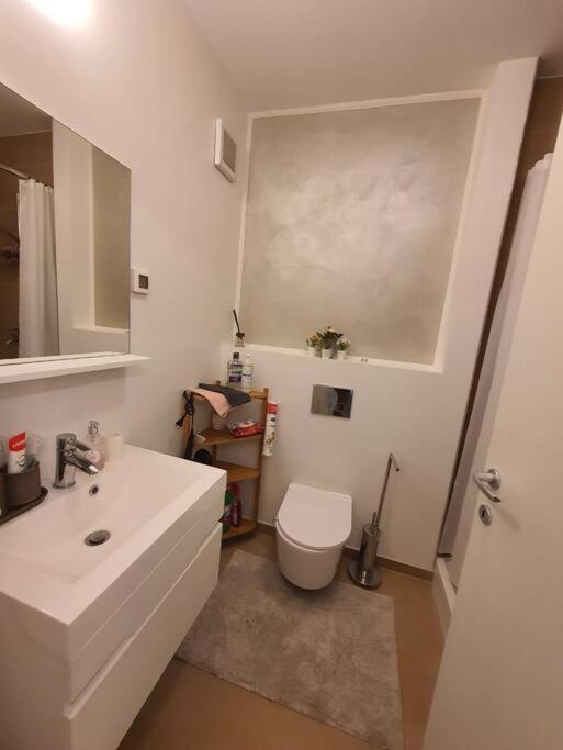 Apartament Sector 1 Garden Boutique