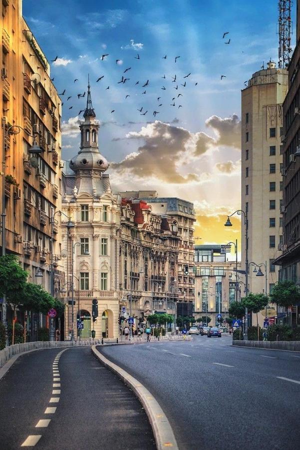Imob Bibi House Calea Victoriei Apartament