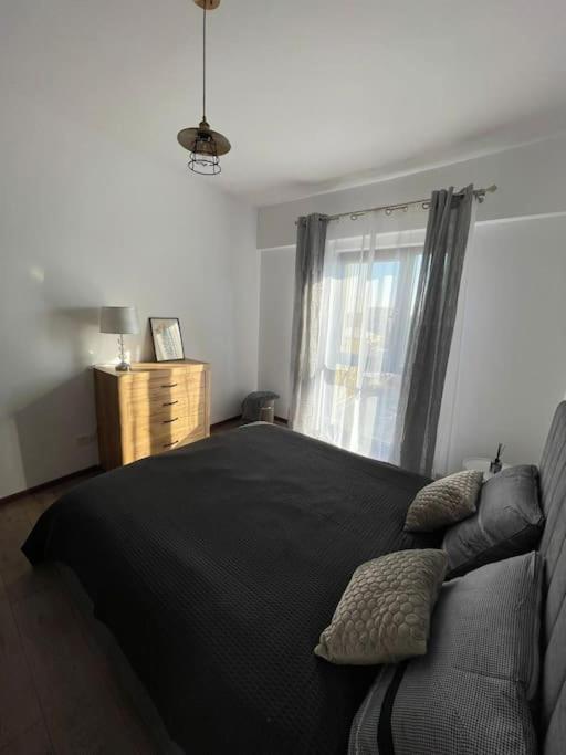 Brancoveanu Apartament Apartment *