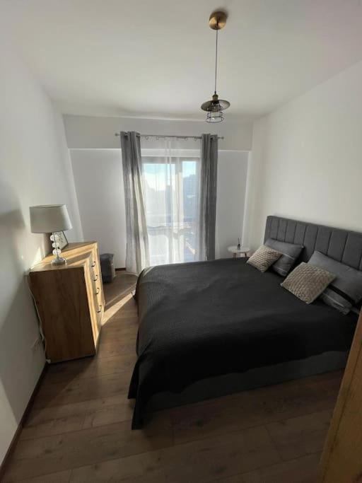Brancoveanu Apartament Apartment