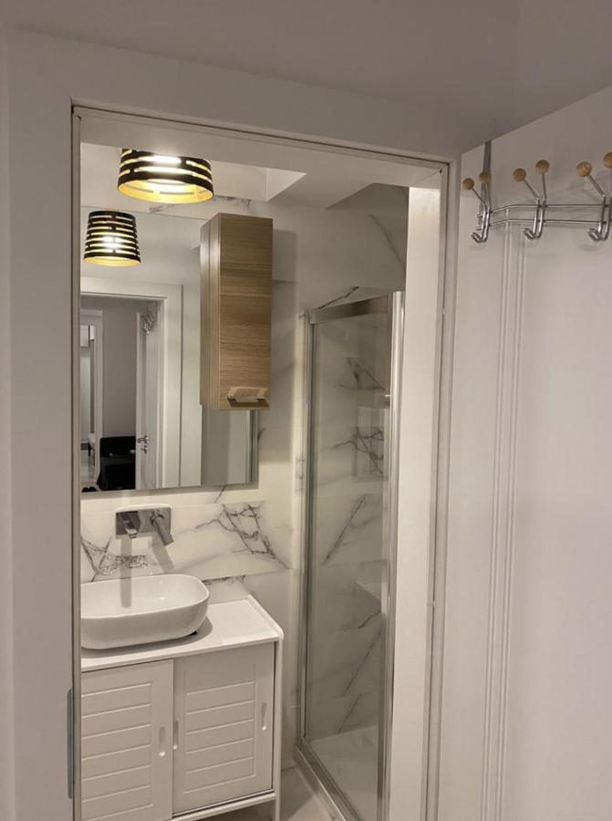 Luxury Center - Amzei Romana Apartment