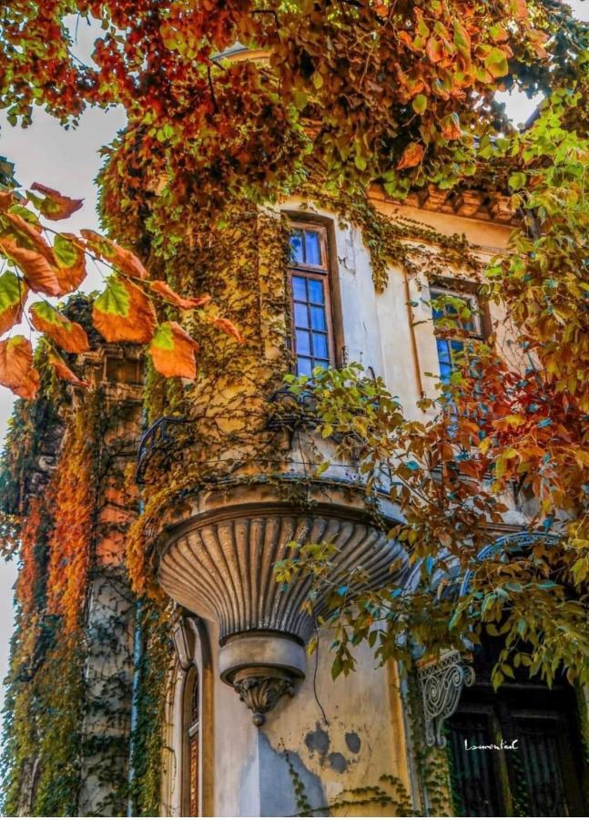 Charming Place Cotroceni